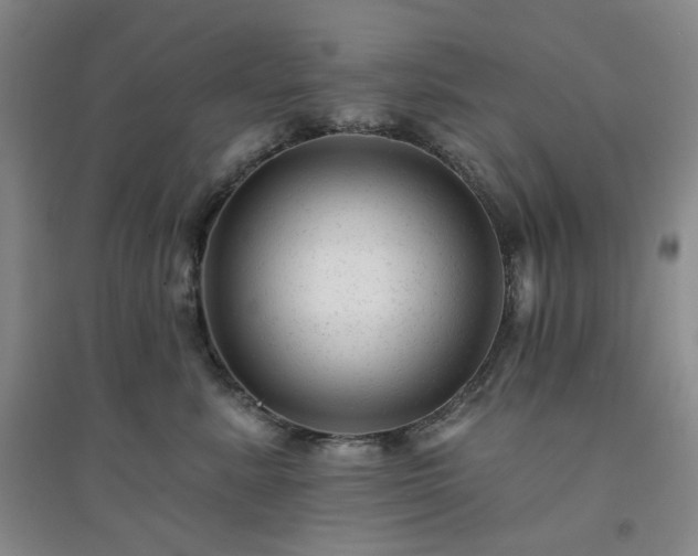 X0000094420619200711151322