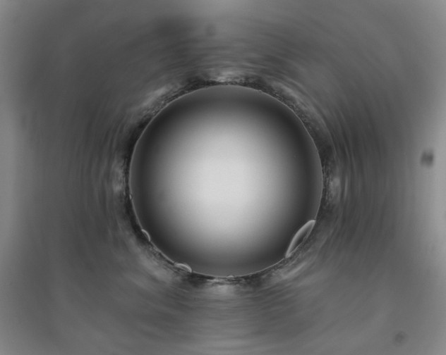 X0000094420620200711151322