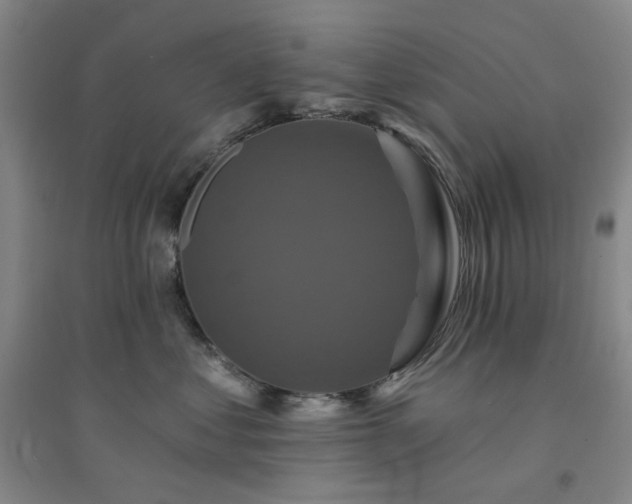 X0000094420621200711151322