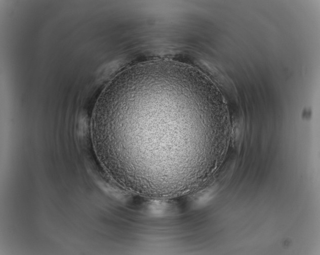 X0000094420623200711151322