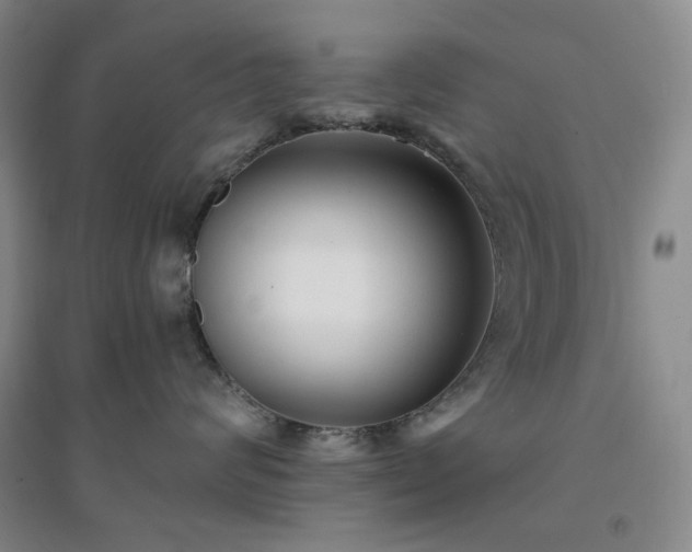 X0000094420624200711151322