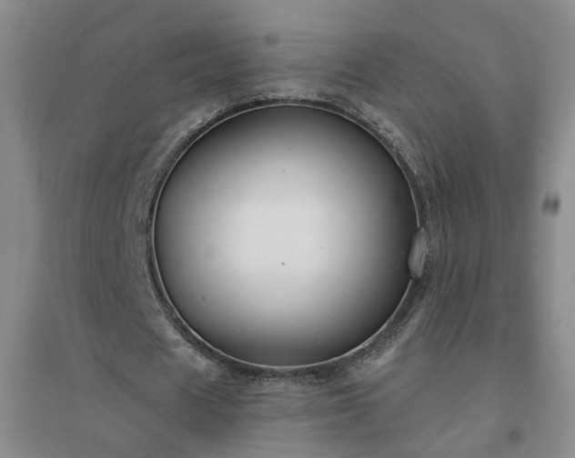 X0000094420625200711151321