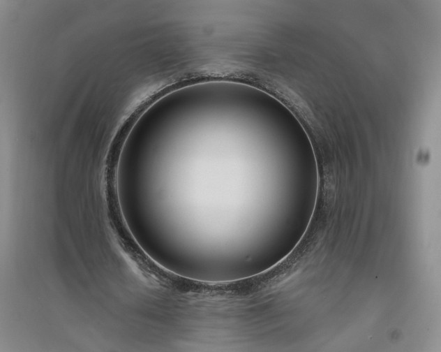X0000094420626200711151321