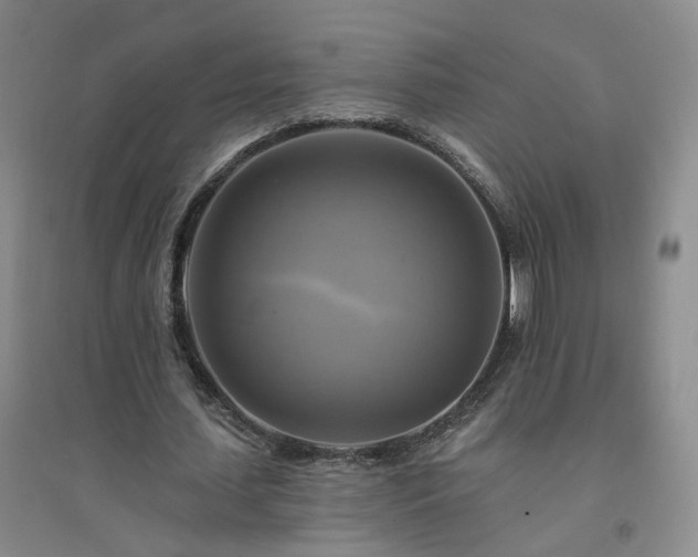 X0000094420627200711151321