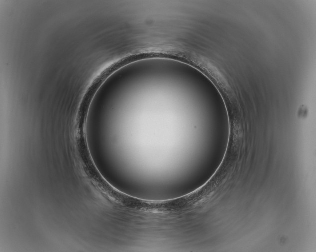 X0000094420628200711151321