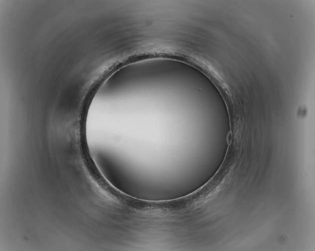 X0000094420629200711151321