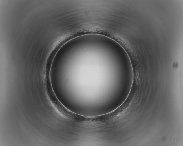 X0000094420630200711151321