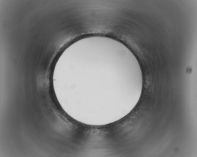 X0000094420632200711151321