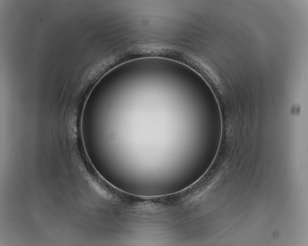 X0000094420633200711151321