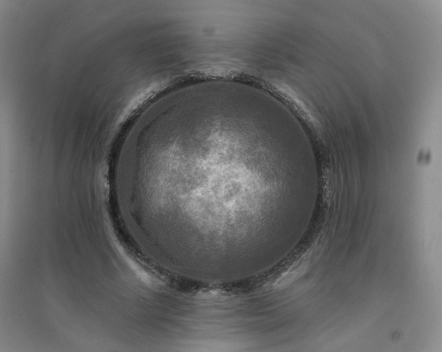X0000094420634200711151321