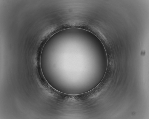 X0000094420635200711151321