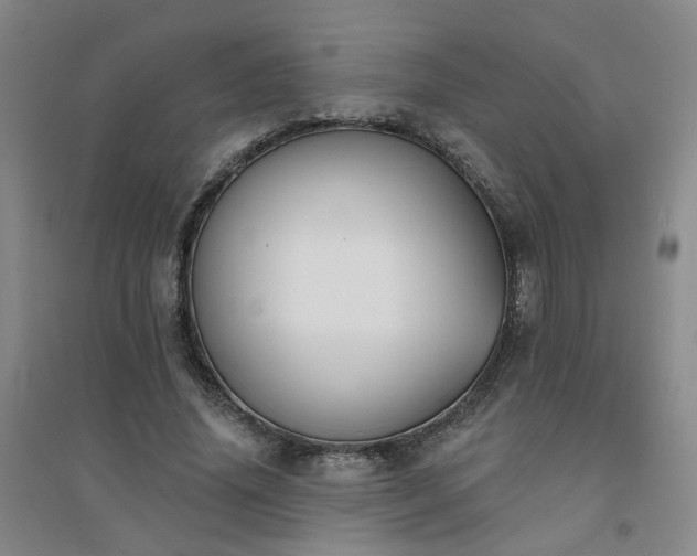 X0000094420636200711151321