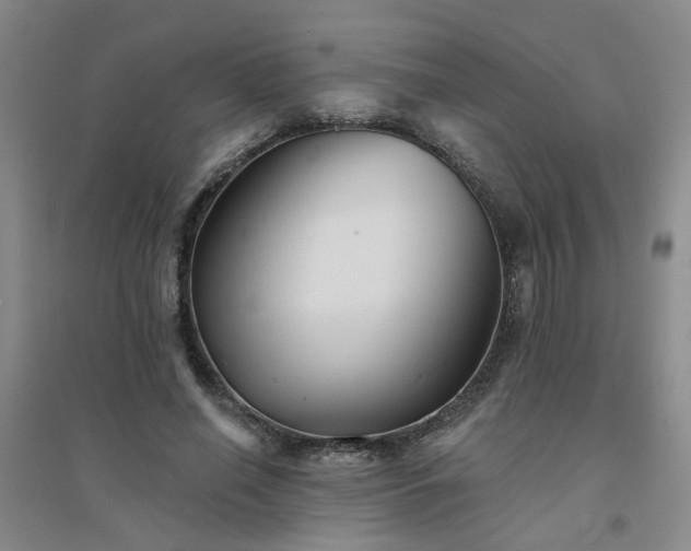 X0000094420638200711151321