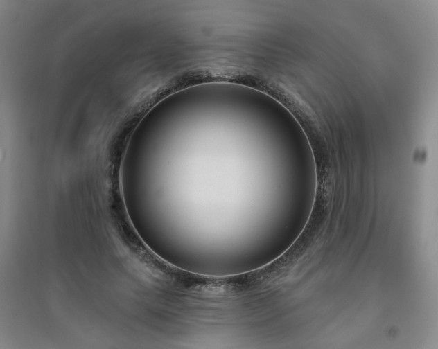 X0000094420639200711151321