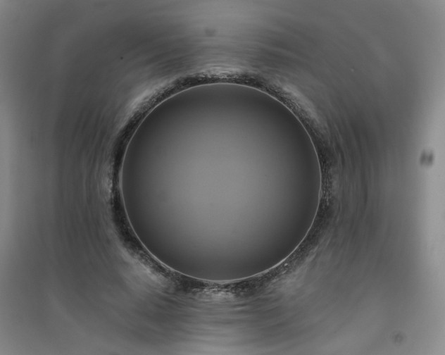 X0000094420640200711151321