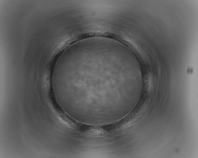 X0000094420642200711151321