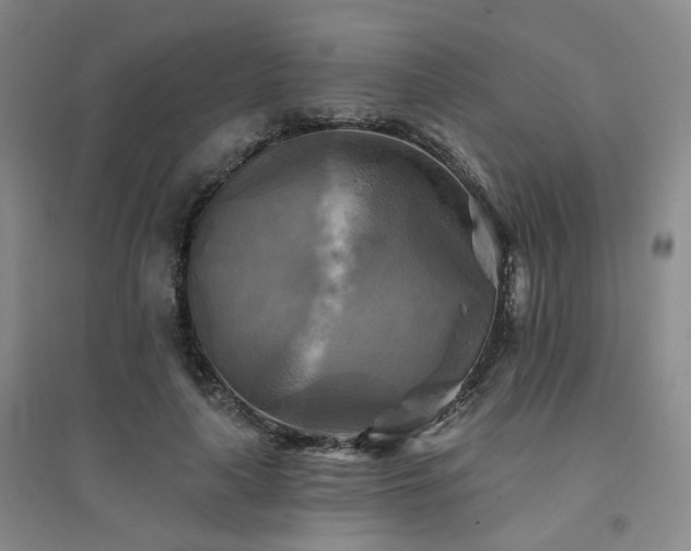 X0000094420643200711151321