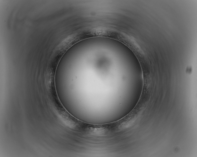 X0000094420645200711151321