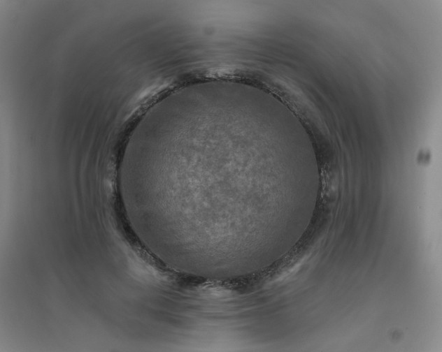 X0000094420648200711151321