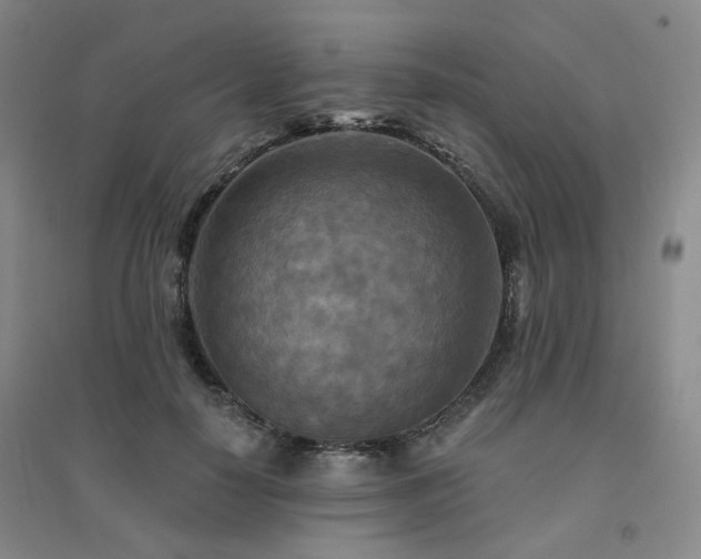 X0000094420650200711151321