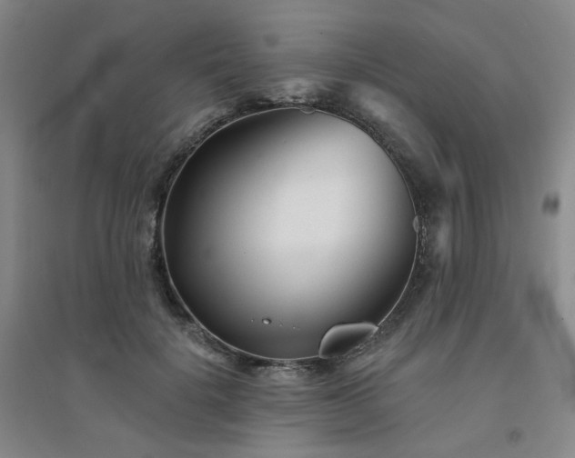X0000094420652200711151321