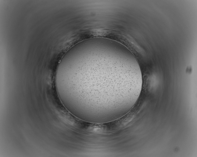 X0000094420655200711151321