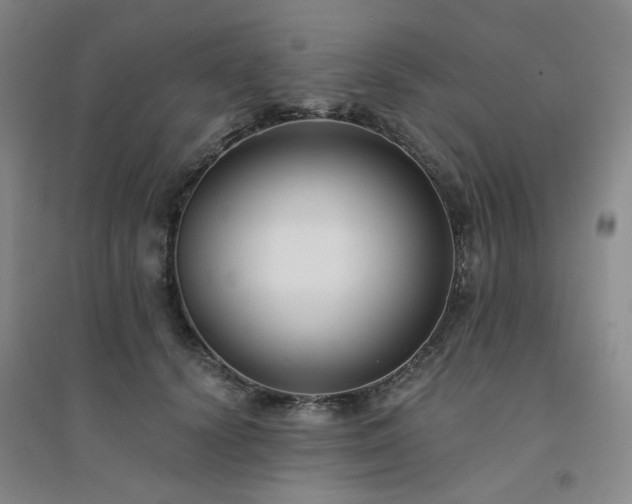 X0000094420656200711151321