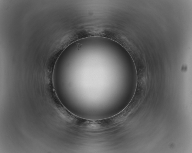 X0000094420658200711151321
