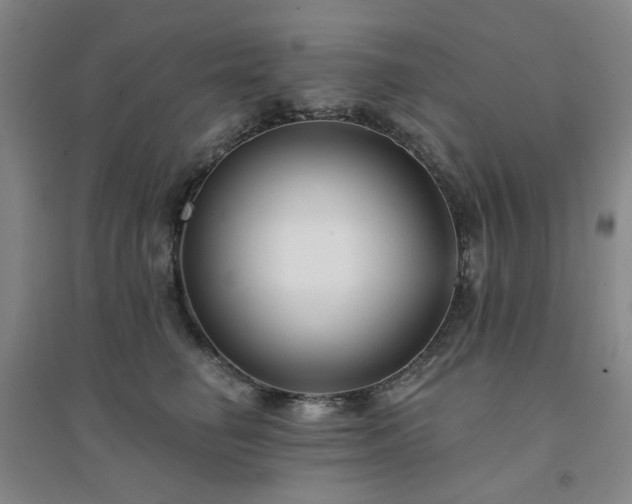 X0000094420662200711151321