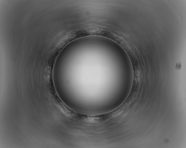 X0000094420664200711151321