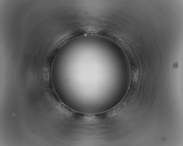 X0000094420666200711151321