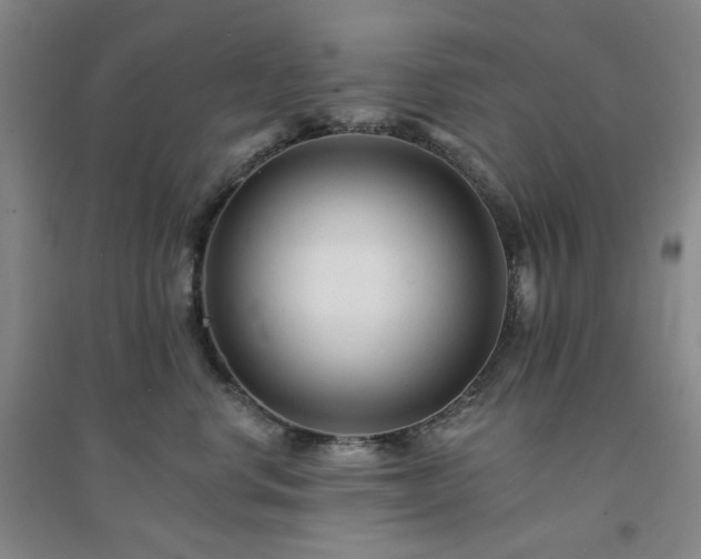 X0000094420668200711151322