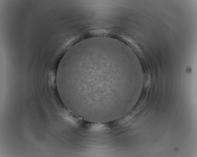 X0000094420669200711151322