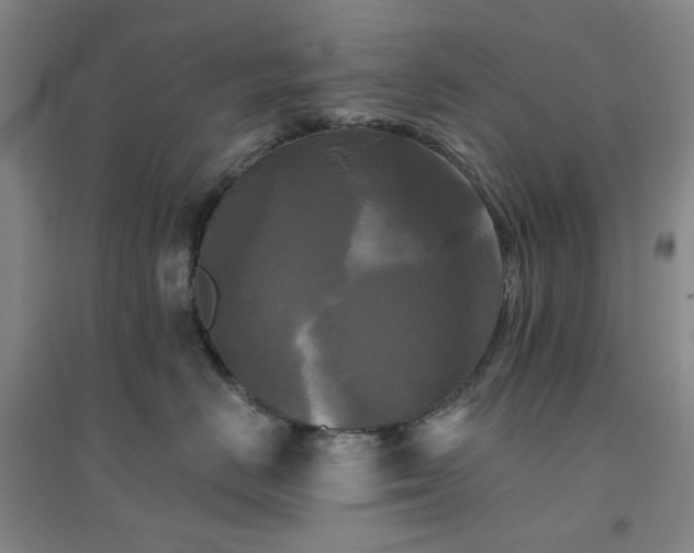 X0000094420670200711151322