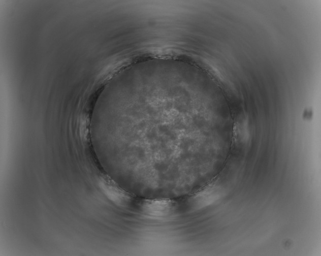 X0000094420671200711151322