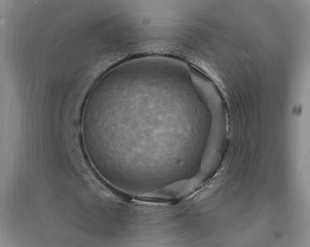 X0000094420673200711151321