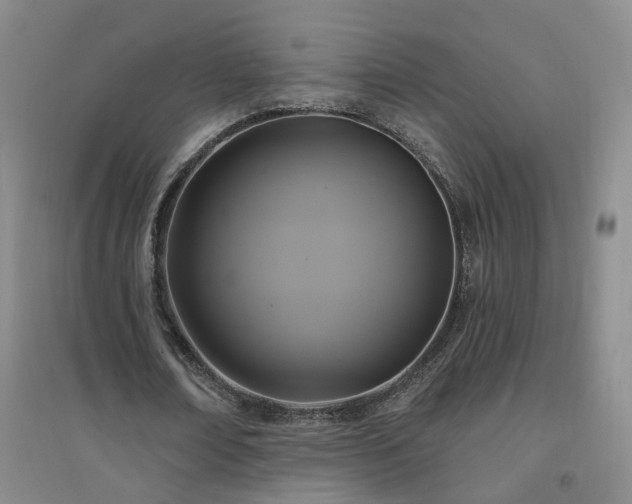 X0000094420674200711151321