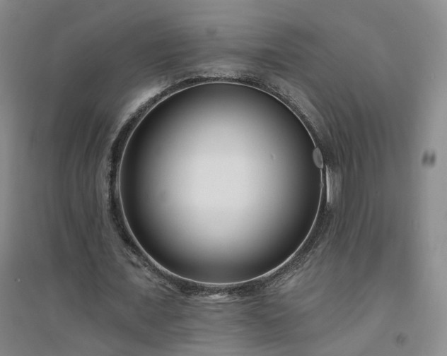 X0000094420675200711151321