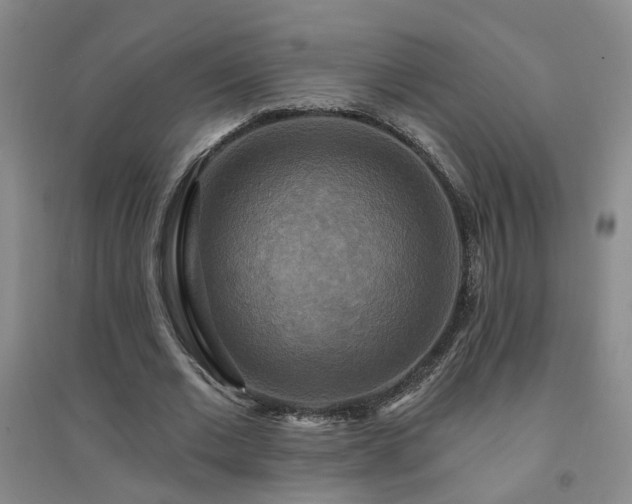 X0000094420677200711151321