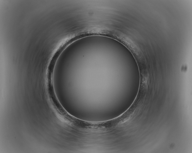 X0000094420678200711151321