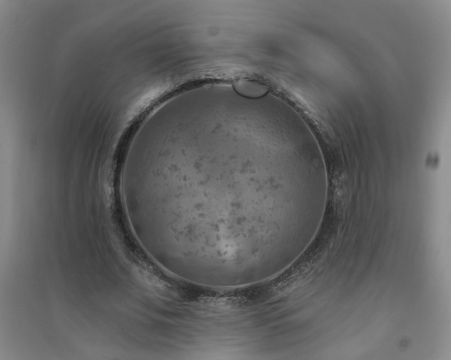 X0000094420679200711151321