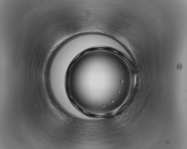 X0000094420680200711151321