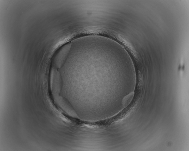 X0000094420681200711151321