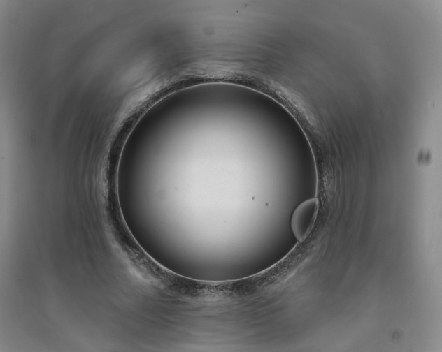 X0000094420682200711151321