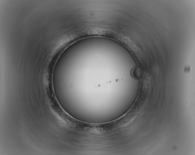 X0000094420683200711151321