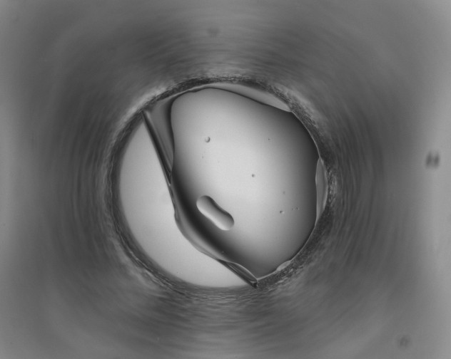 X0000094420684200711151321