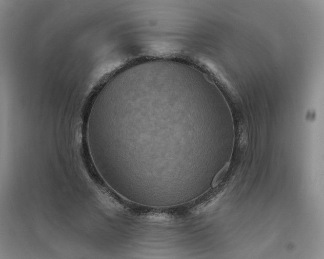 X0000094420685200711151321