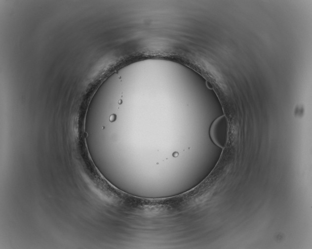 X0000094420686200711151321