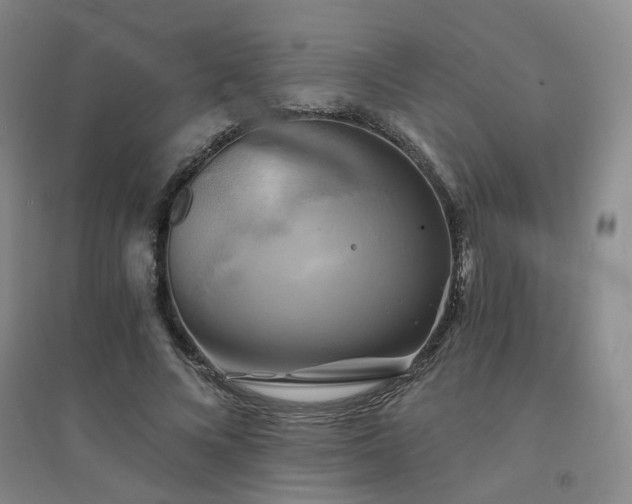 X0000094420688200711151320