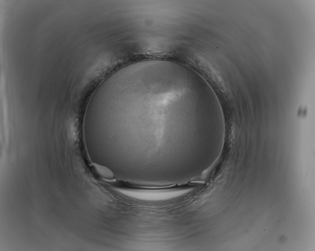 X0000094420689200711151320